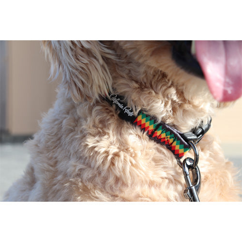 Cali Roots Rasta Diamond Dog Collars