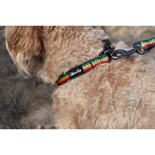 Cali Roots Rasta Diamond Dog Collars