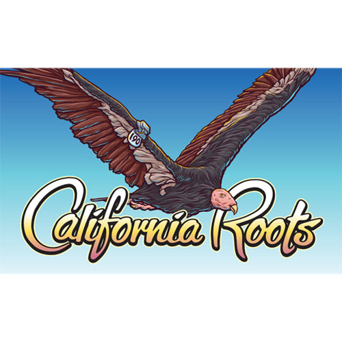 Cali Roots Condor Flag